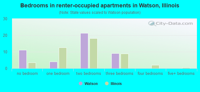 Bedrooms in renter-occupied apartments in Watson, Illinois