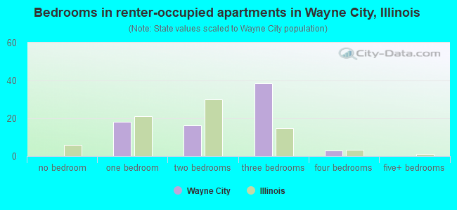 Bedrooms in renter-occupied apartments in Wayne City, Illinois