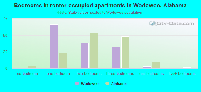 Bedrooms in renter-occupied apartments in Wedowee, Alabama
