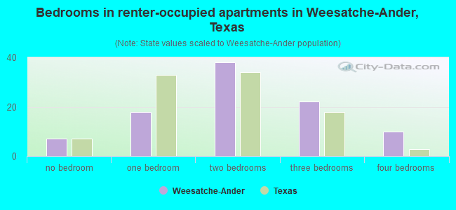 Bedrooms in renter-occupied apartments in Weesatche-Ander, Texas