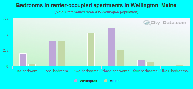 Bedrooms in renter-occupied apartments in Wellington, Maine