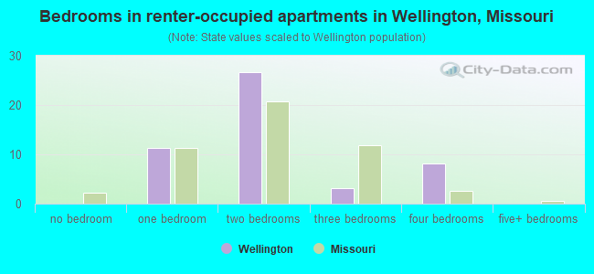 Bedrooms in renter-occupied apartments in Wellington, Missouri