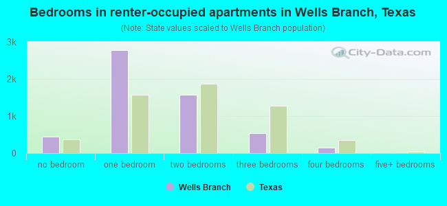 Bedrooms in renter-occupied apartments in Wells Branch, Texas