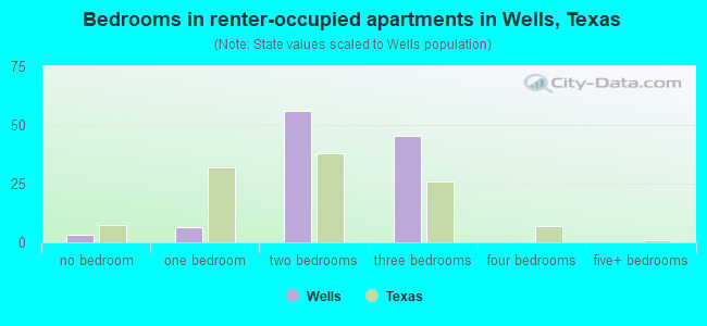 Bedrooms in renter-occupied apartments in Wells, Texas