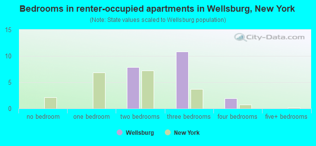 Bedrooms in renter-occupied apartments in Wellsburg, New York