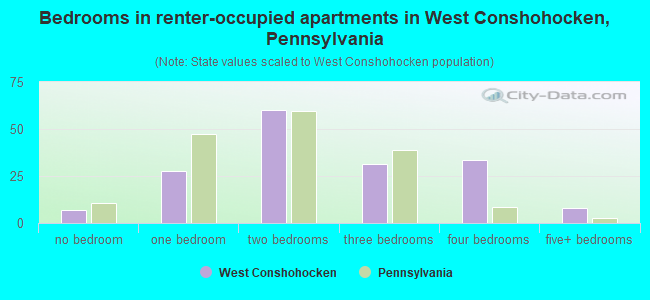 Bedrooms in renter-occupied apartments in West Conshohocken, Pennsylvania