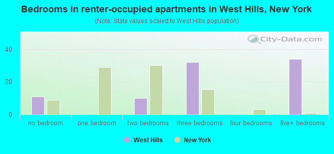 Bedrooms in renter-occupied apartments in West Hills, New York