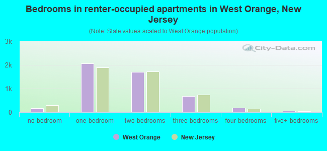 Bedrooms in renter-occupied apartments in West Orange, New Jersey