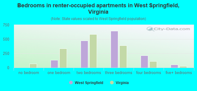 Bedrooms in renter-occupied apartments in West Springfield, Virginia