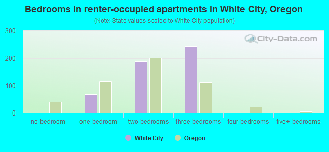 Bedrooms in renter-occupied apartments in White City, Oregon