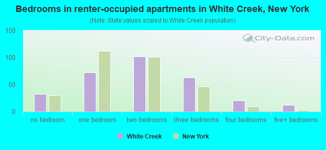 Bedrooms in renter-occupied apartments in White Creek, New York