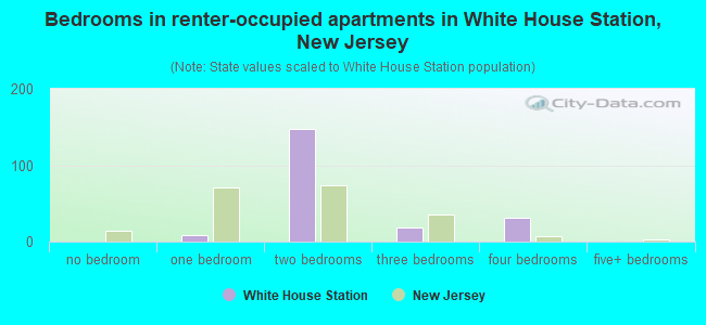 Bedrooms in renter-occupied apartments in White House Station, New Jersey