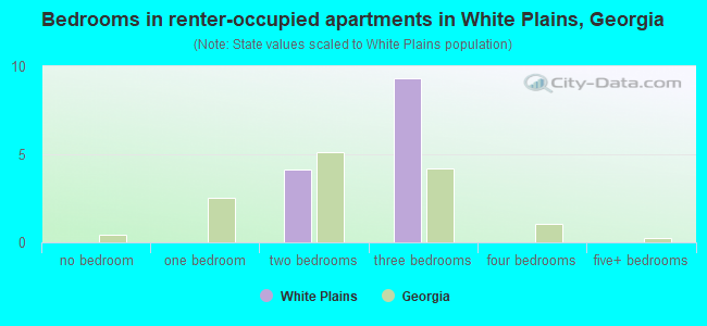 Bedrooms in renter-occupied apartments in White Plains, Georgia