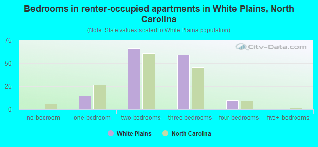 Bedrooms in renter-occupied apartments in White Plains, North Carolina