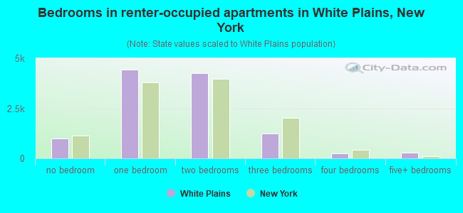 Bedrooms in renter-occupied apartments in White Plains, New York