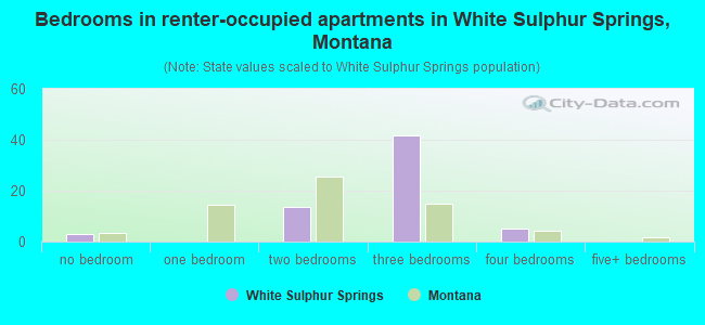 Bedrooms in renter-occupied apartments in White Sulphur Springs, Montana