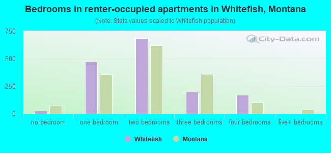 Bedrooms in renter-occupied apartments in Whitefish, Montana