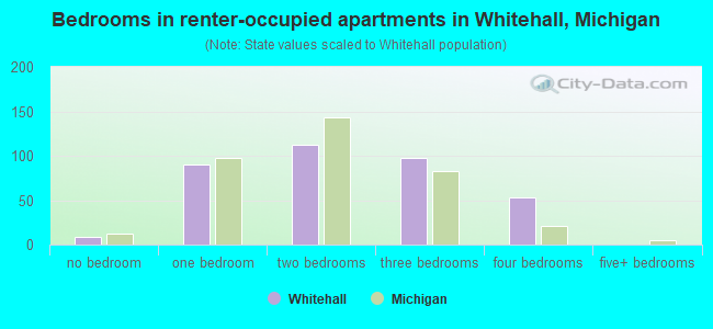 Bedrooms in renter-occupied apartments in Whitehall, Michigan