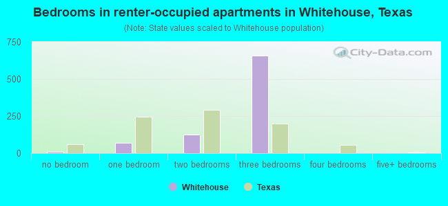 Bedrooms in renter-occupied apartments in Whitehouse, Texas