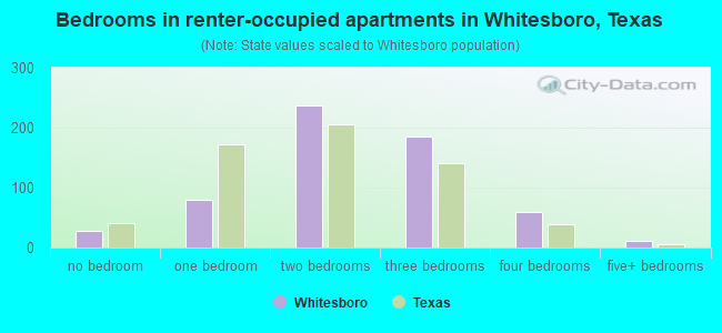 Bedrooms in renter-occupied apartments in Whitesboro, Texas