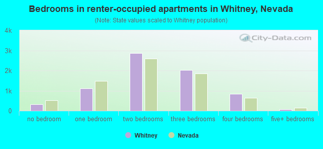 Bedrooms in renter-occupied apartments in Whitney, Nevada