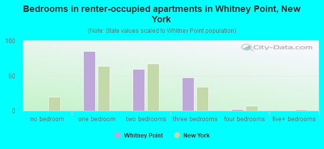 Bedrooms in renter-occupied apartments in Whitney Point, New York