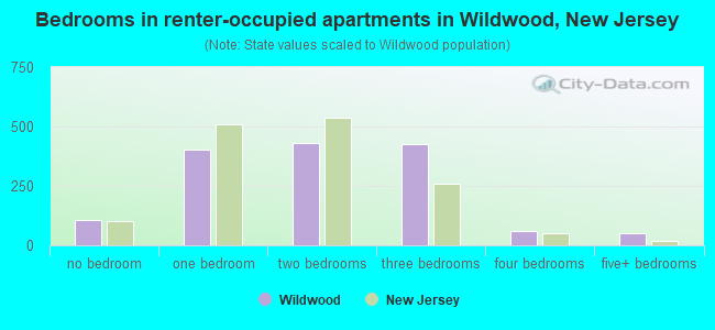 Bedrooms in renter-occupied apartments in Wildwood, New Jersey