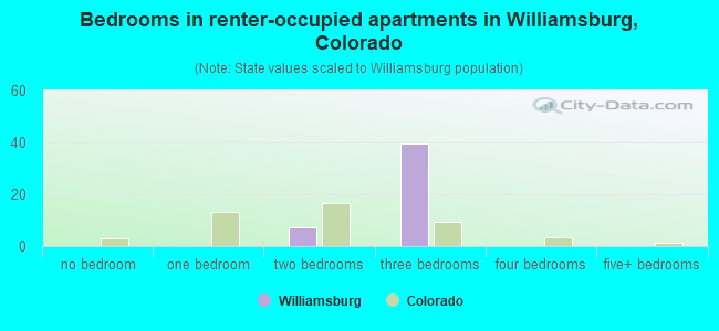 Bedrooms in renter-occupied apartments in Williamsburg, Colorado