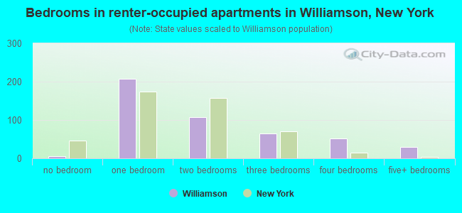 Bedrooms in renter-occupied apartments in Williamson, New York
