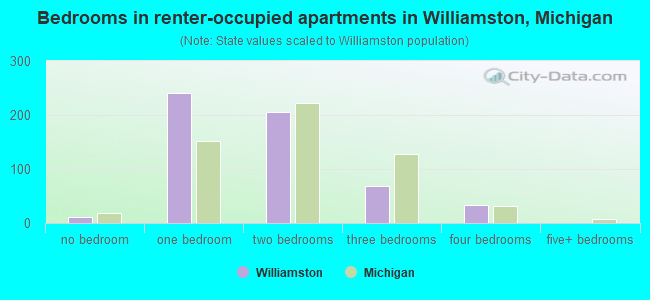 Bedrooms in renter-occupied apartments in Williamston, Michigan