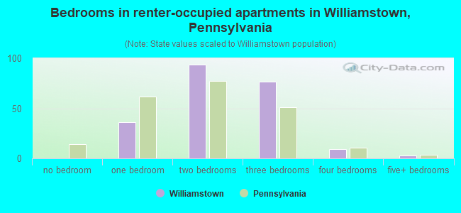 Bedrooms in renter-occupied apartments in Williamstown, Pennsylvania