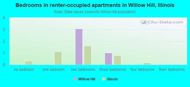 Bedrooms in renter-occupied apartments in Willow Hill, Illinois