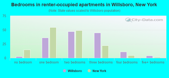 Bedrooms in renter-occupied apartments in Willsboro, New York