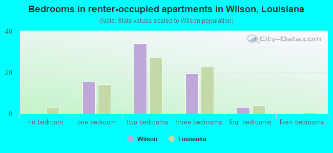 Bedrooms in renter-occupied apartments in Wilson, Louisiana