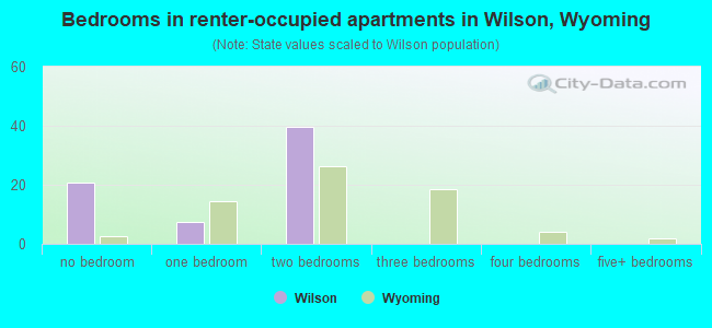 Bedrooms in renter-occupied apartments in Wilson, Wyoming