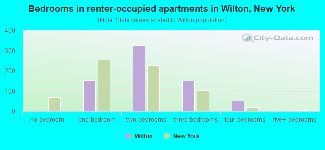Bedrooms in renter-occupied apartments in Wilton, New York