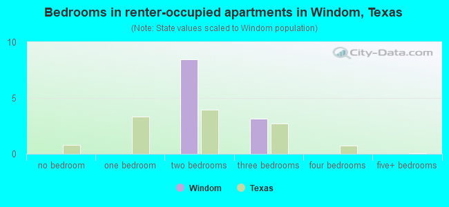 Bedrooms in renter-occupied apartments in Windom, Texas