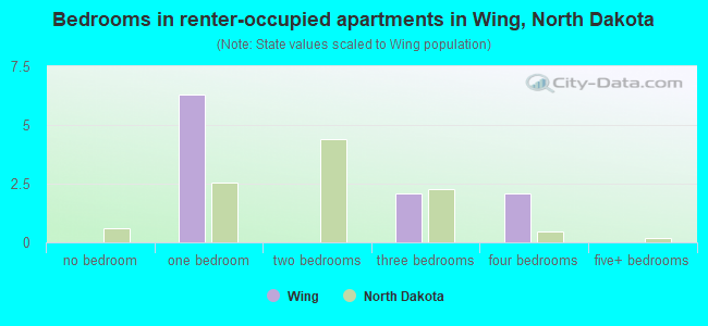 Bedrooms in renter-occupied apartments in Wing, North Dakota