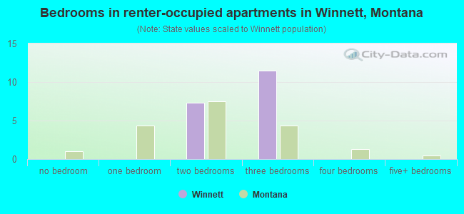 Bedrooms in renter-occupied apartments in Winnett, Montana
