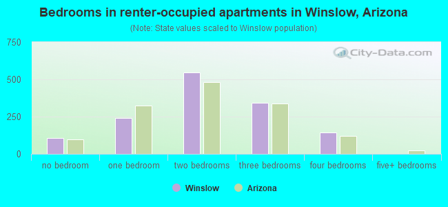 Bedrooms in renter-occupied apartments in Winslow, Arizona