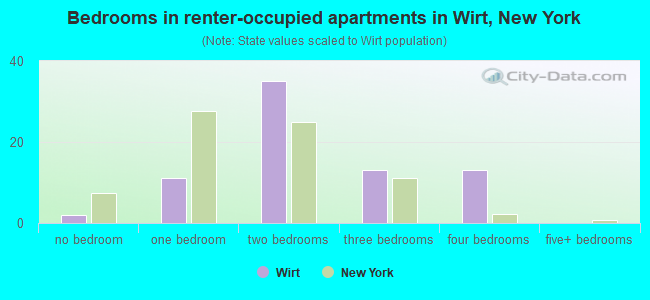 Bedrooms in renter-occupied apartments in Wirt, New York