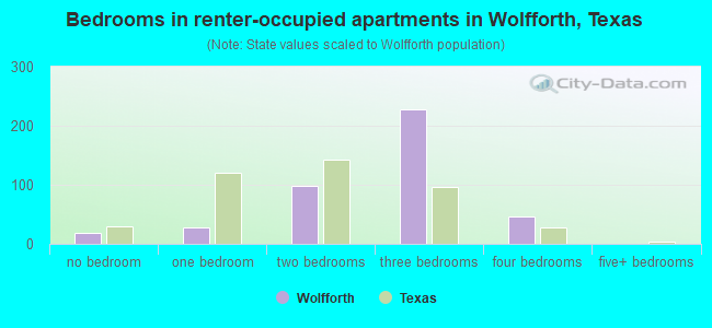 Bedrooms in renter-occupied apartments in Wolfforth, Texas