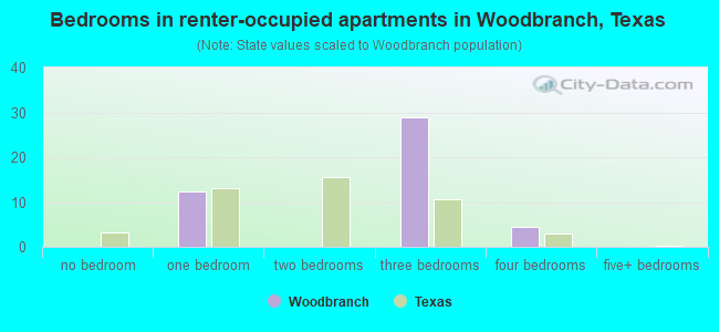 Bedrooms in renter-occupied apartments in Woodbranch, Texas