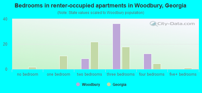 Bedrooms in renter-occupied apartments in Woodbury, Georgia