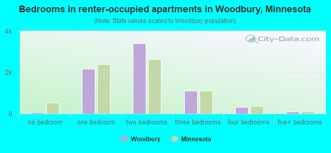 Bedrooms in renter-occupied apartments in Woodbury, Minnesota