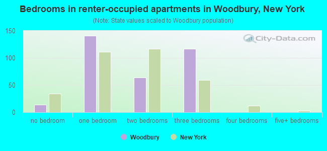 Bedrooms in renter-occupied apartments in Woodbury, New York