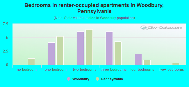 Bedrooms in renter-occupied apartments in Woodbury, Pennsylvania