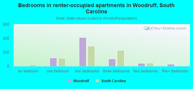 Bedrooms in renter-occupied apartments in Woodruff, South Carolina