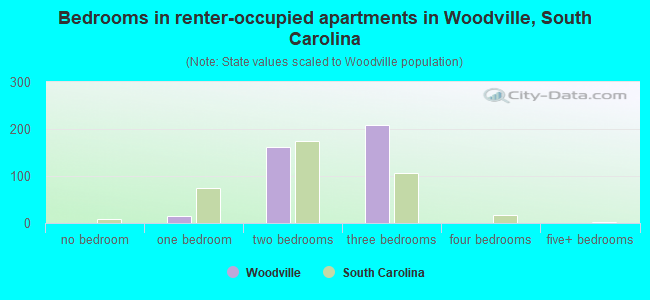 Bedrooms in renter-occupied apartments in Woodville, South Carolina