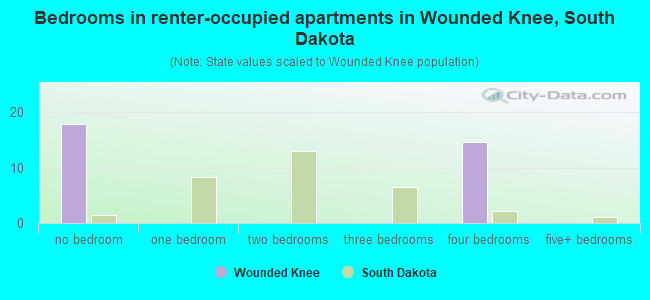 Bedrooms in renter-occupied apartments in Wounded Knee, South Dakota